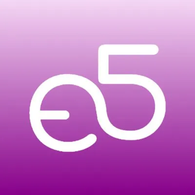 enterfive.com's icon