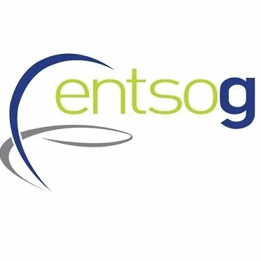 entsog.eu's icon