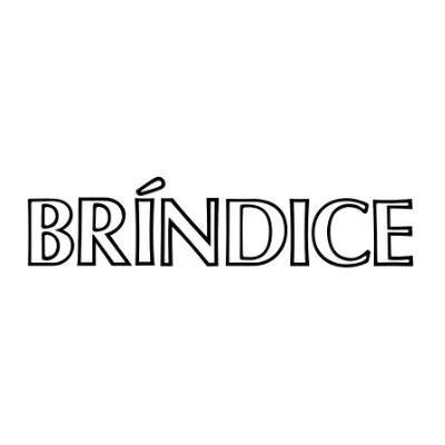 epindice.com.br's icon