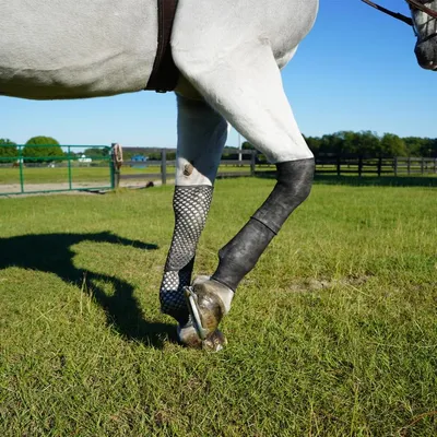 equinesleeve.com's icon