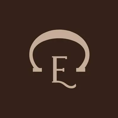 equuscoach.com's icon