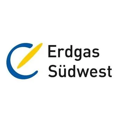 erdgas-suedwest.de's icon