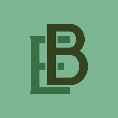 erediborgnino.com's icon