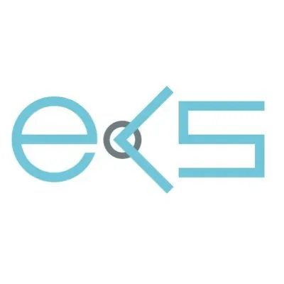 ergoleansolutions.com's icon
