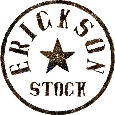 ericksonstock.com's icon