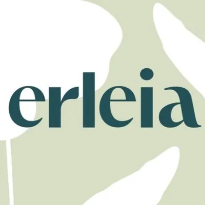 erleia.com's icon