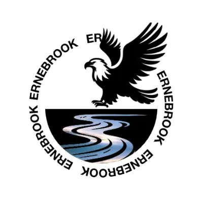 ernebrook.com's icon