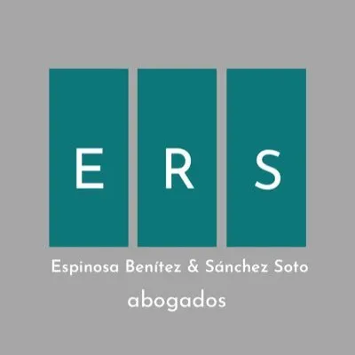 ersmx.com's icon