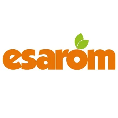 esarom.com's icon