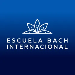 escuelabachinternacional.com's icon