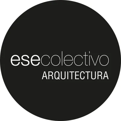 esecolectivo.com's icon
