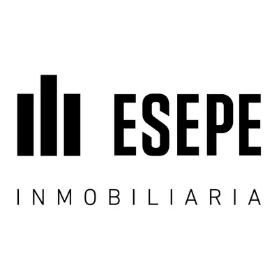 esepe.cl's icon