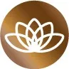 esonova.com's icon
