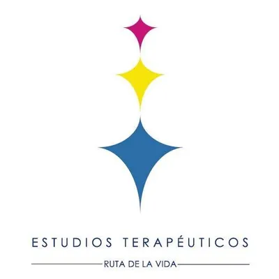 estudiosterapeuticos.cl's icon