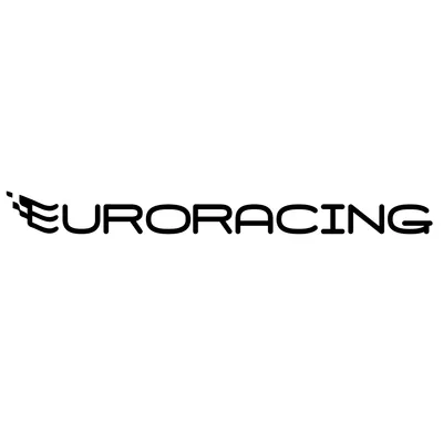 euroracing.lt's icon