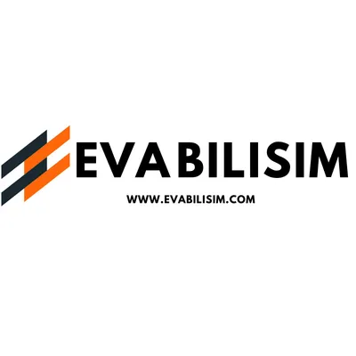 evabilisim.com's icon