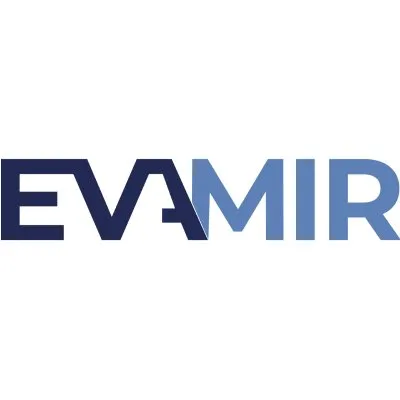 evamir.com's icon