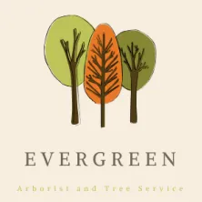 evergreenarboristtreeservice.com's icon