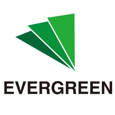 evergreenelectr.com's icon