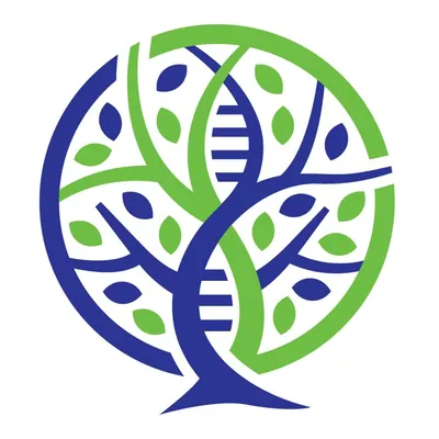 evexias.com's icon