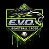 evobeastballcages.com's icon