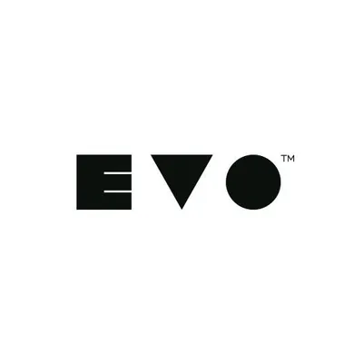 evospace.ge's icon