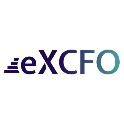 ex-cfo.com's icon