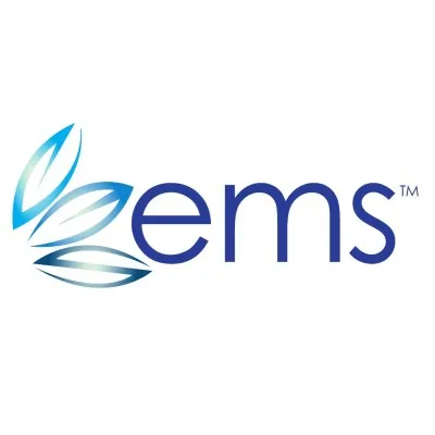 excel-ms.com's icon