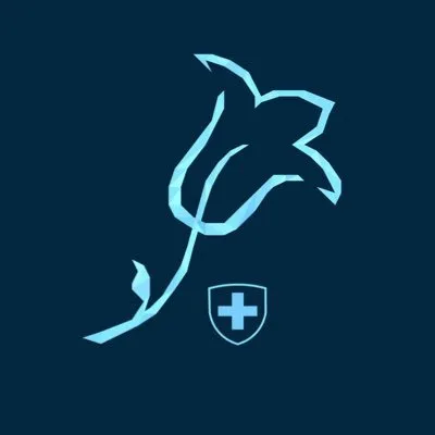 excellenceswissblockchain.com's icon