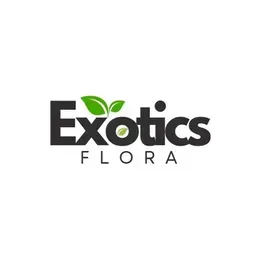 Exoticsflora's icon