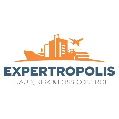 expertropolis.com's icon