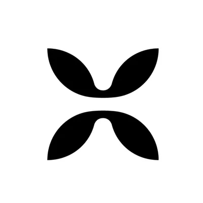 expoacademia.lt's icon