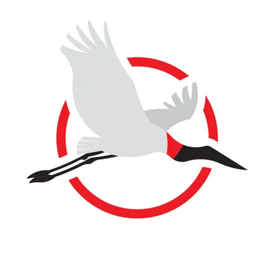 expressomatogrossodosul.com.br's icon