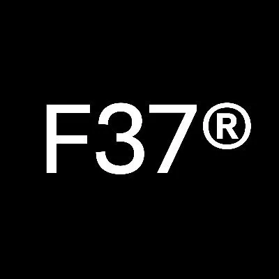f37foundry.com's icon