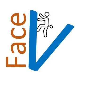 faceverticale.fr's icon