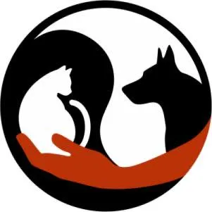 fairfaxveterinary.com's icon
