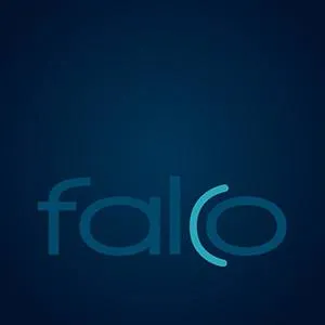 falco-linsen.com's icon
