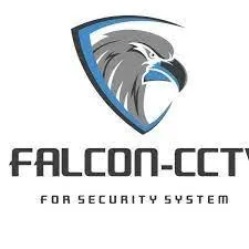 falcon-cctv.com's icon