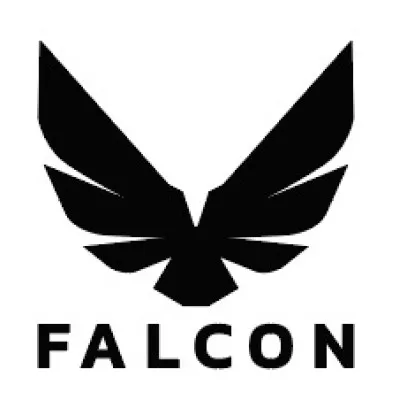 falcon.co.tz's icon