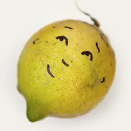fallenfruit.org's icon
