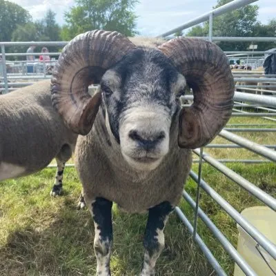 farminglife.com's icon
