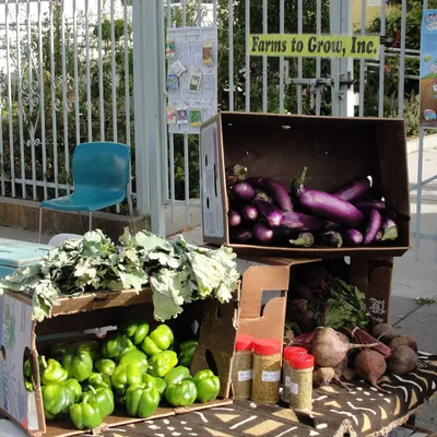 farmstogrow.com's icon