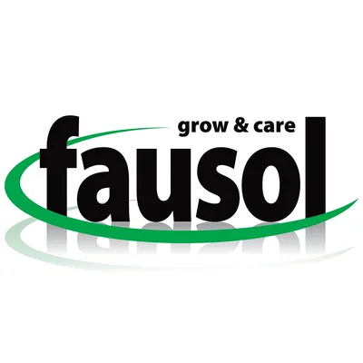 fausol.com's icon