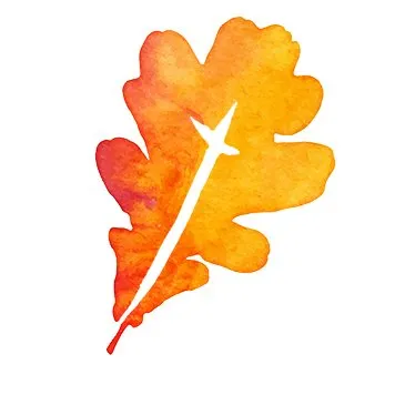 fbcoakridge.org's icon