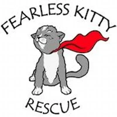 fearlesskittyrescue.org's icon