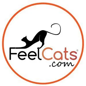 feelcats.com's icon