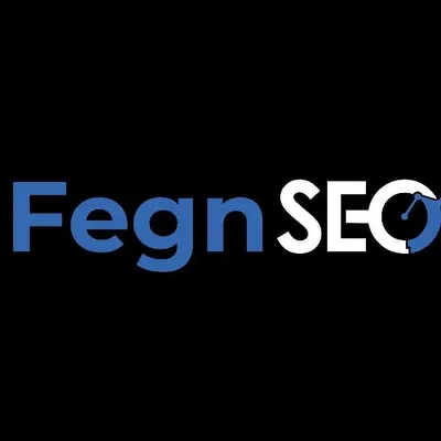 fegn-seo.com's icon