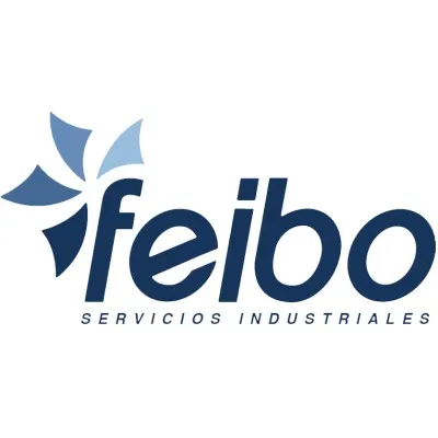 feibo.com.ve's icon