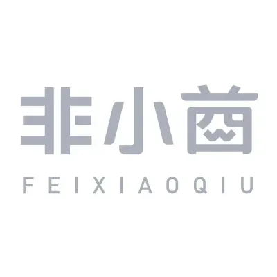 feixiaoqiu.com's brand icon