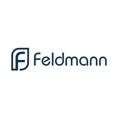 feldmann-gmbh.com's icon